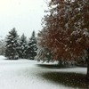 Snow weighs down tree branches in New Canaan, CT.